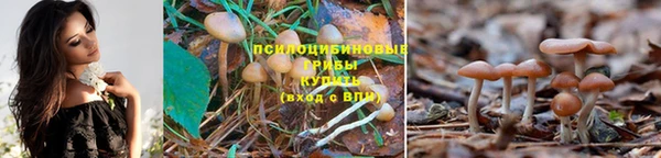 круглые Алексин
